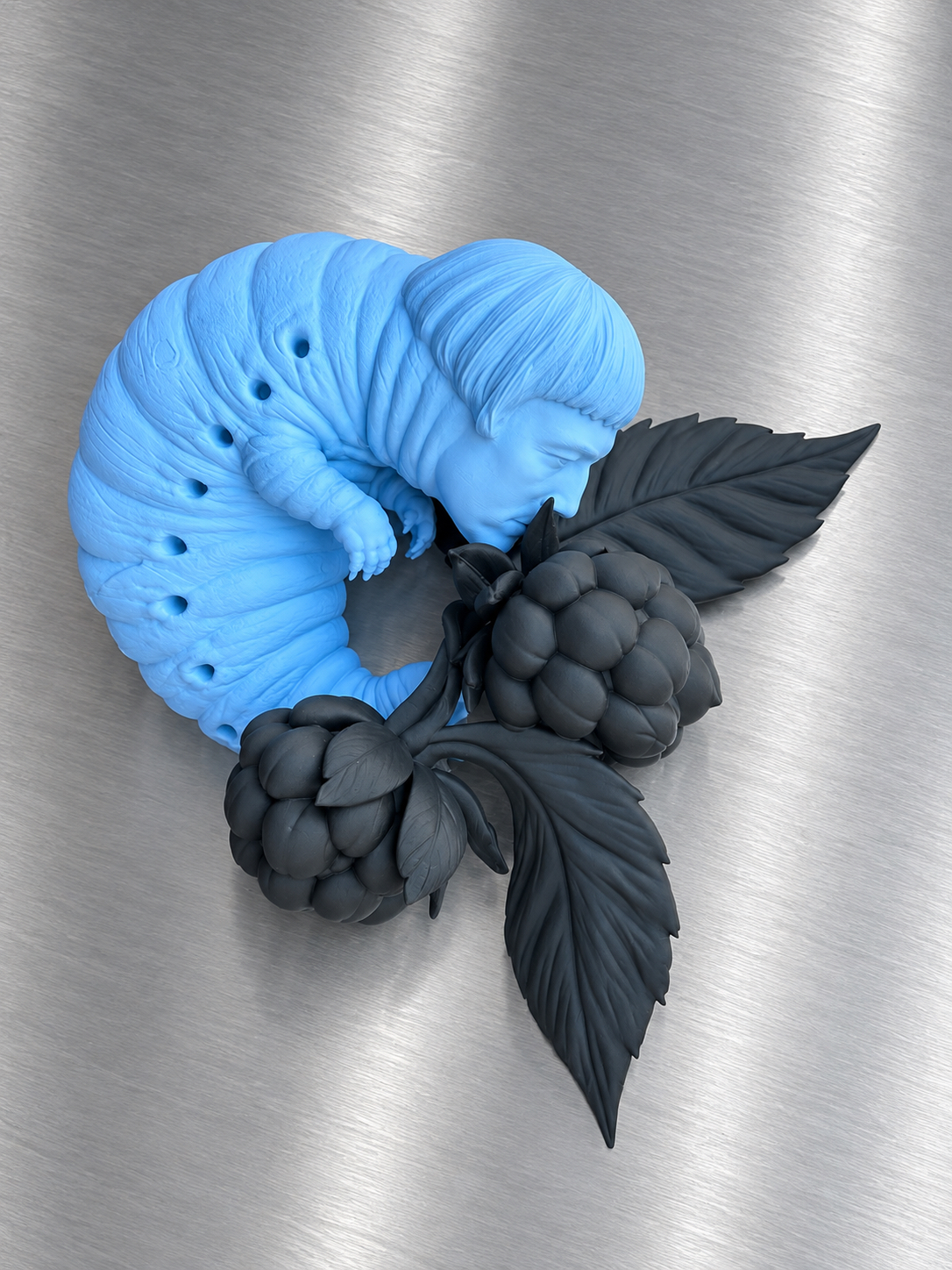 Blue larva curled around black raspberry leaves
