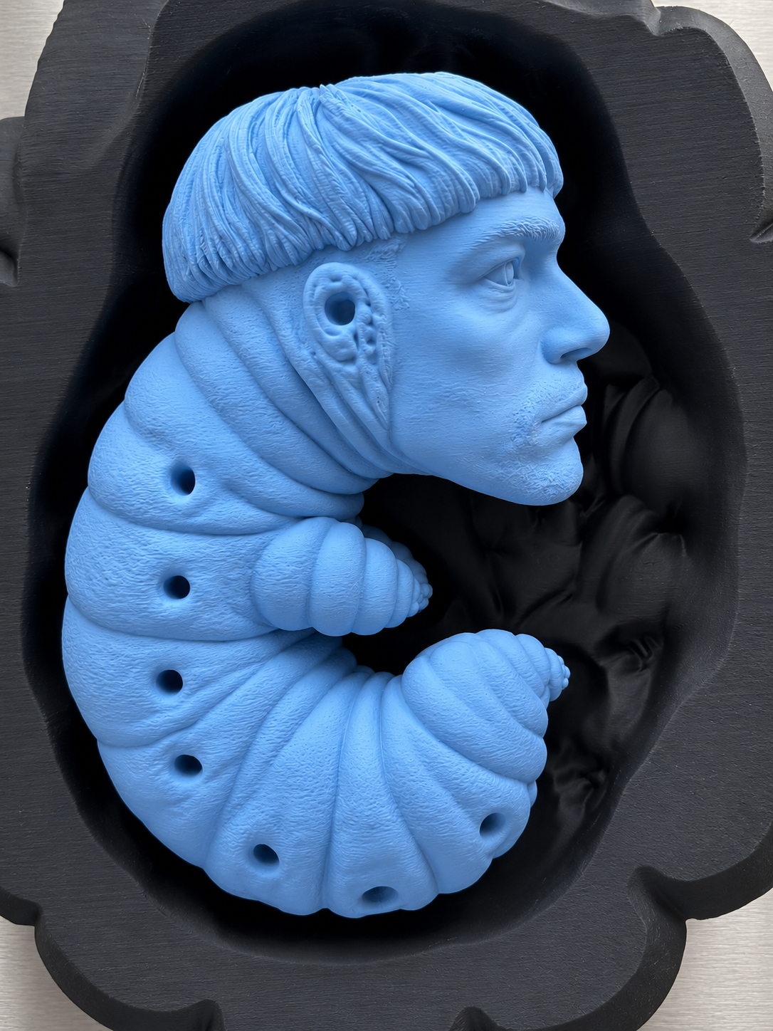 Close view of the blue larval self-portrait