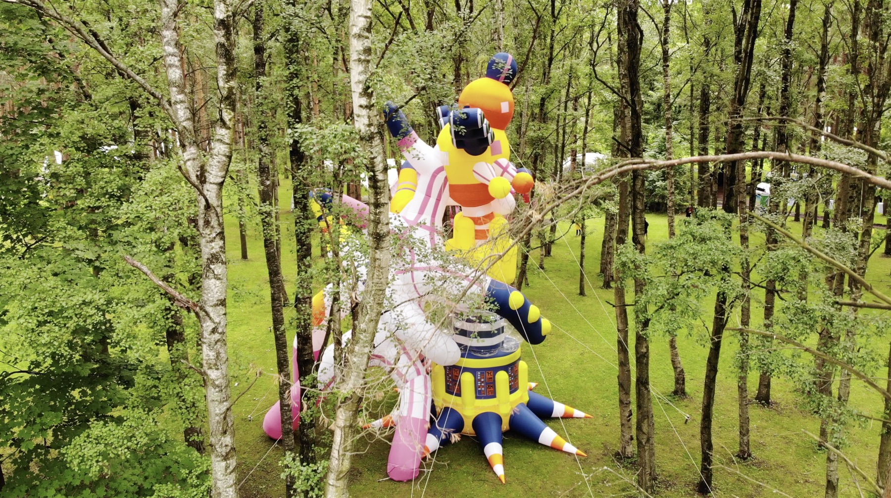 Elevated view of RazDva partially framed by birch trees