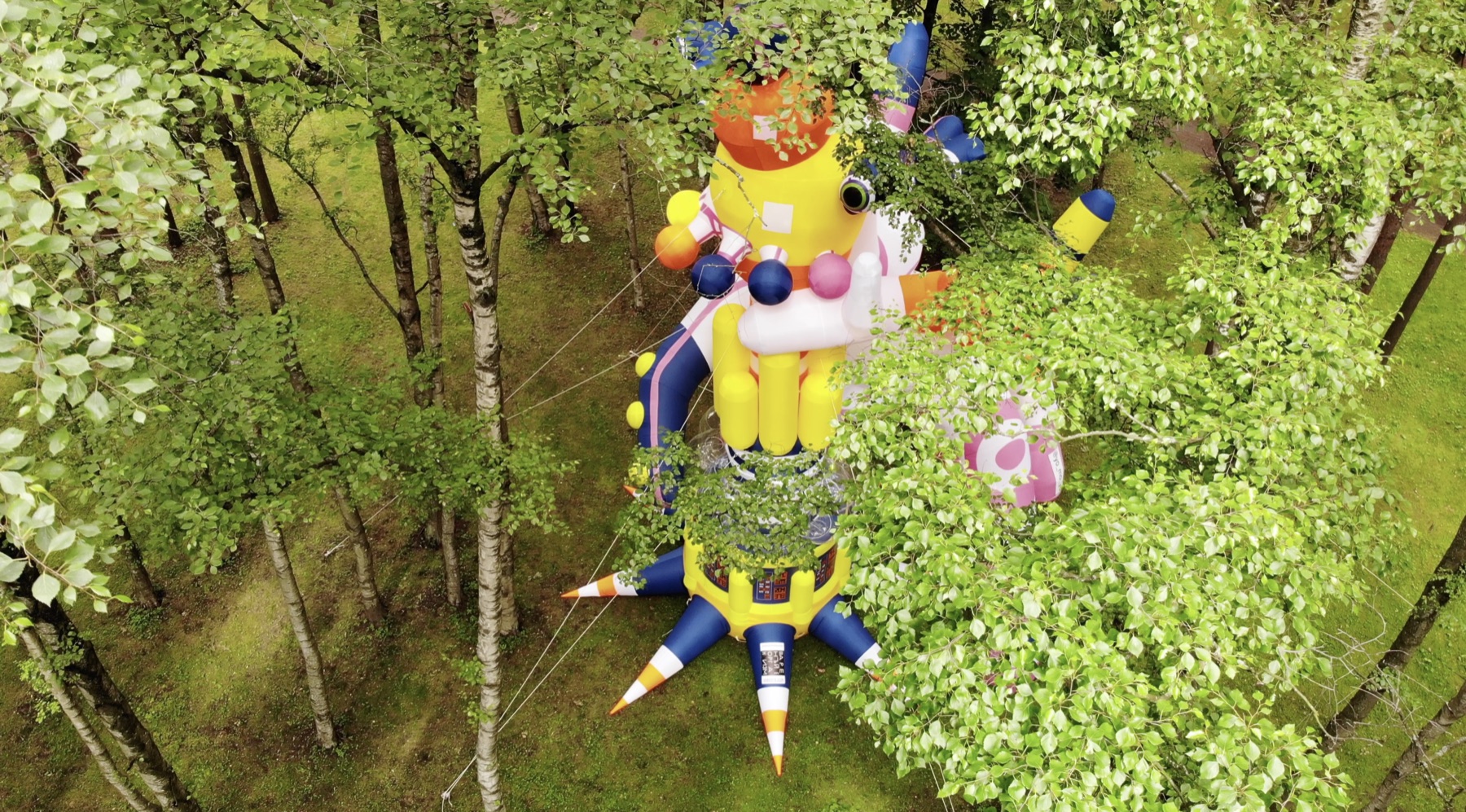 Top view of RazDva seen through green foliage