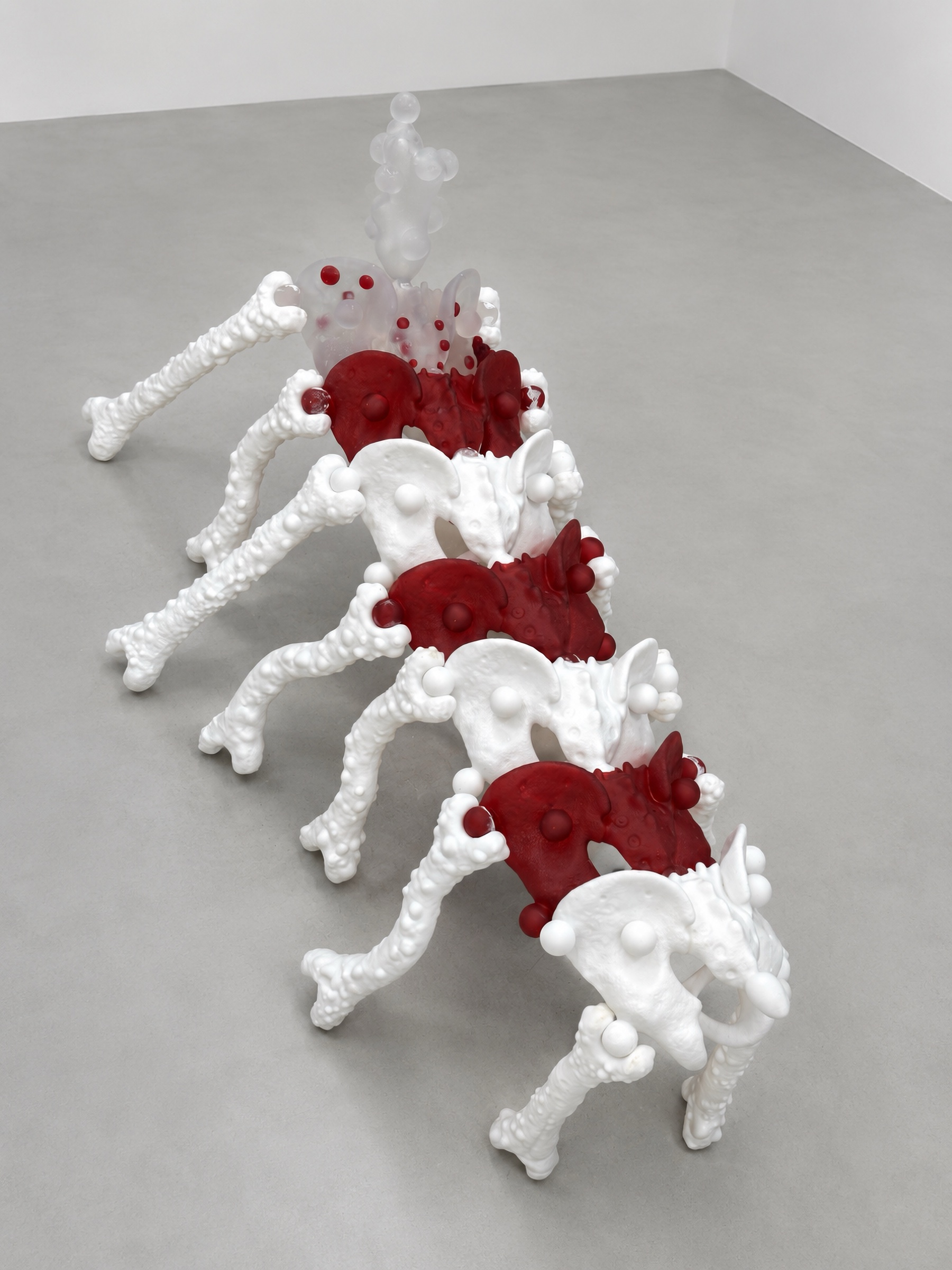 White and red Rebone organizm'os organism seen diagonally from above
