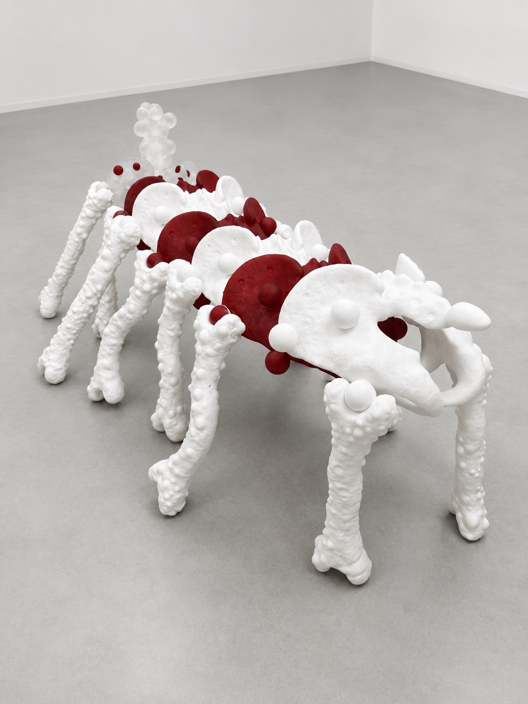 White and red Rebone organizm'os organism viewed from the front
