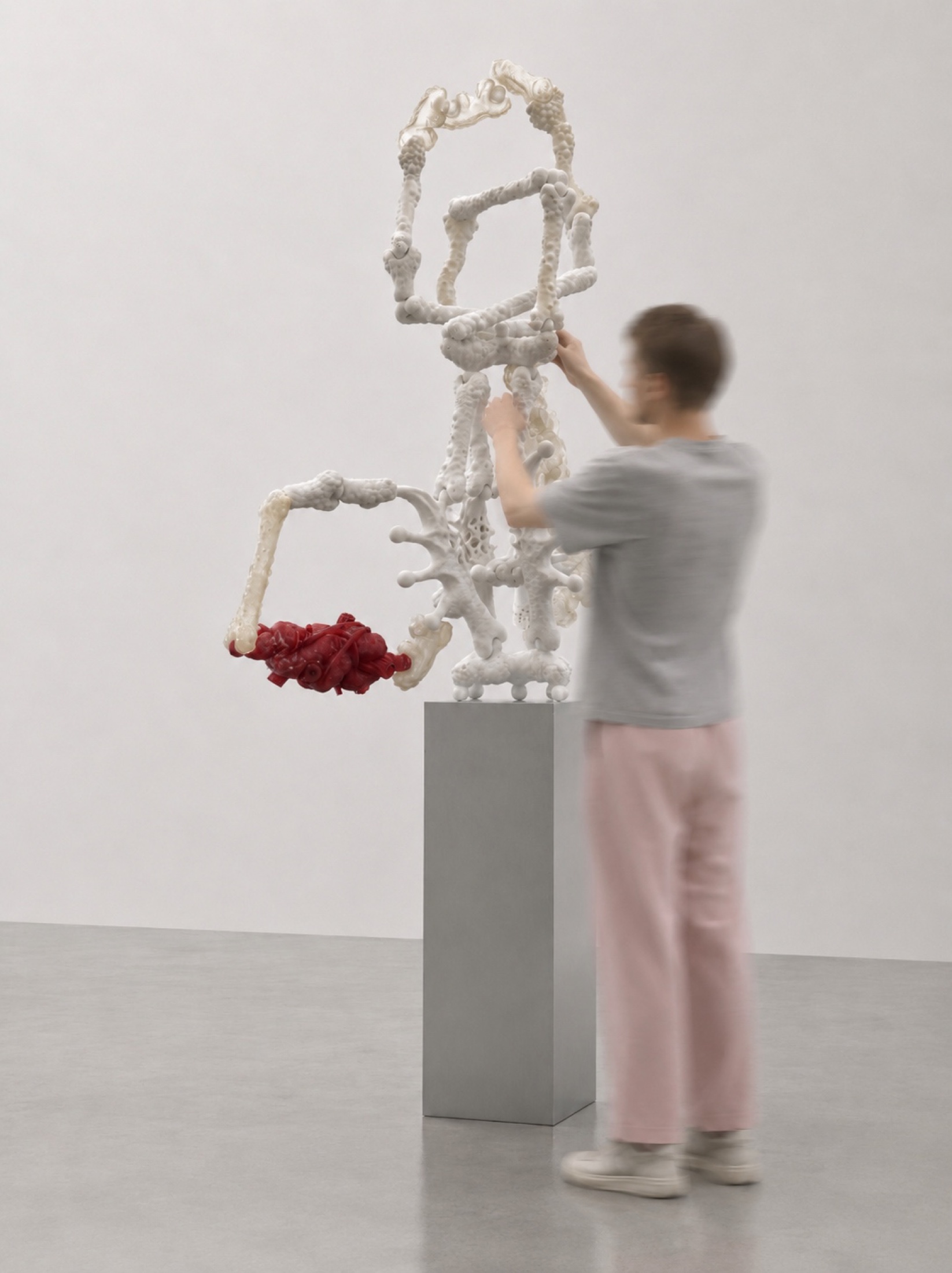 Visitor assembling a white and red Rebone organizm’os structure