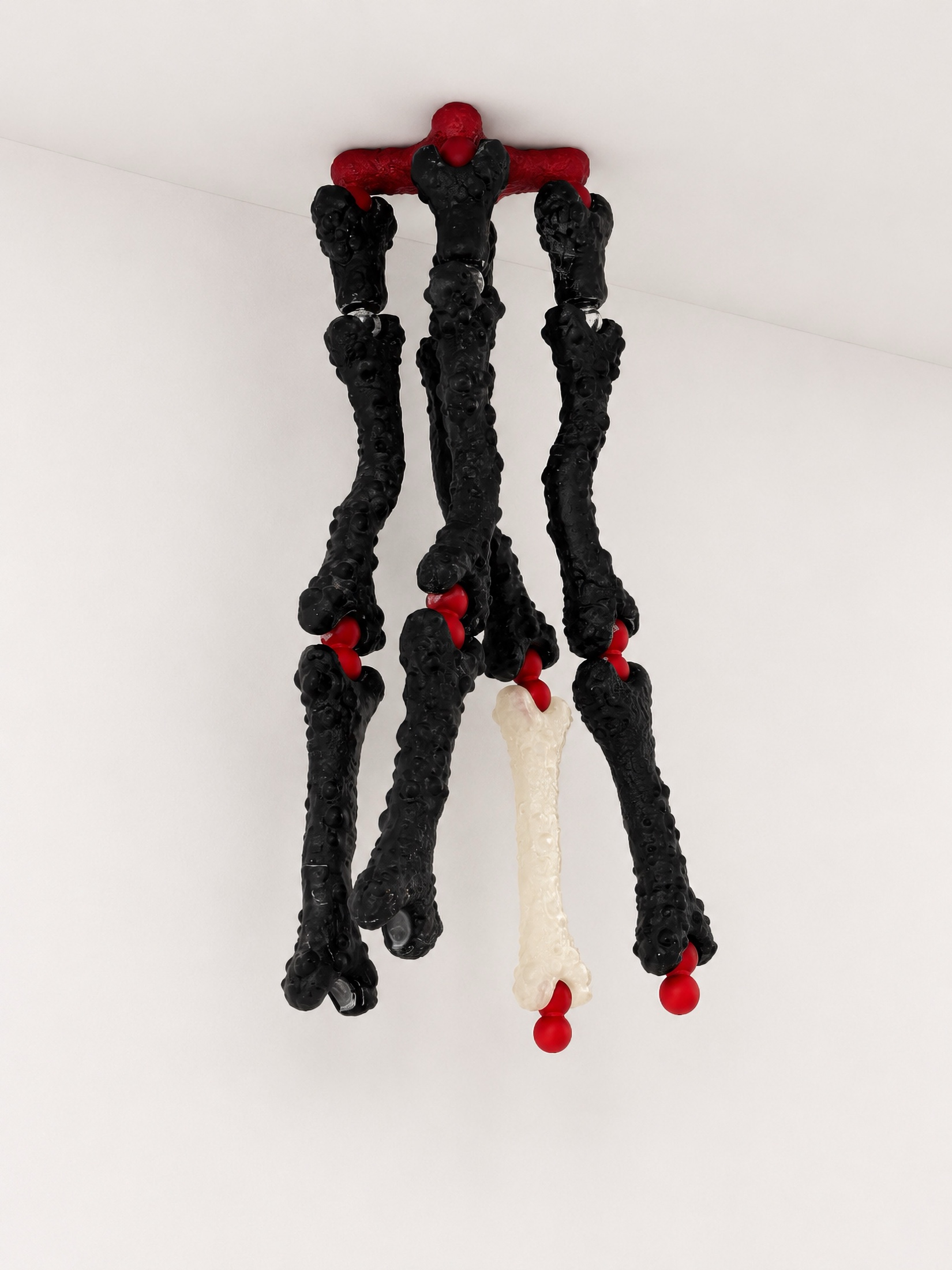 Black and red Rebone organizm'os hanging bone structure against a white background