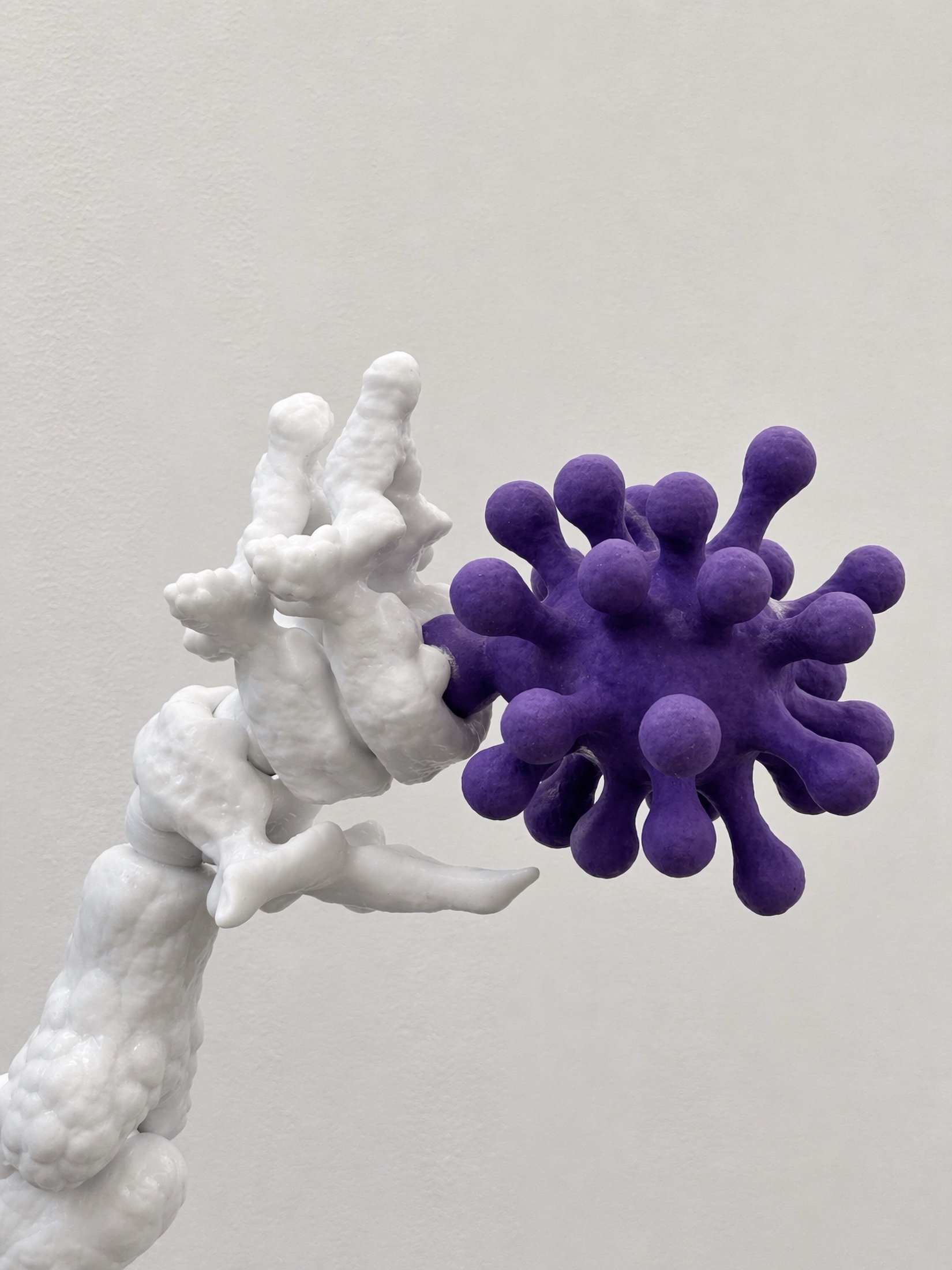 Close view of a white Rebone organizm'os limb connected to a purple virus-like element
