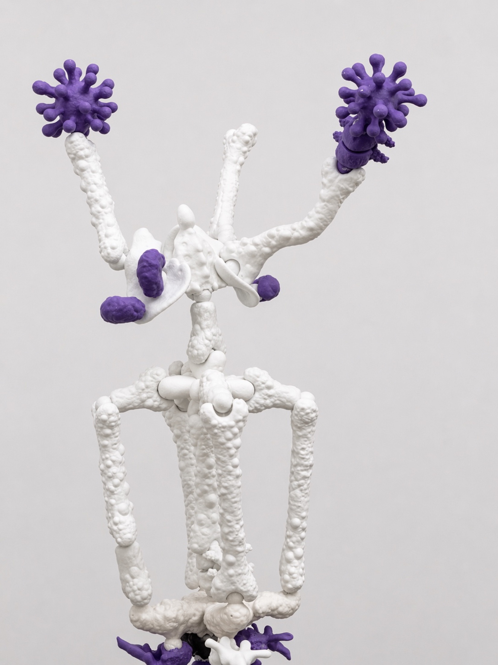 Close view of a white and purple Rebone organizm'os standing skeleton