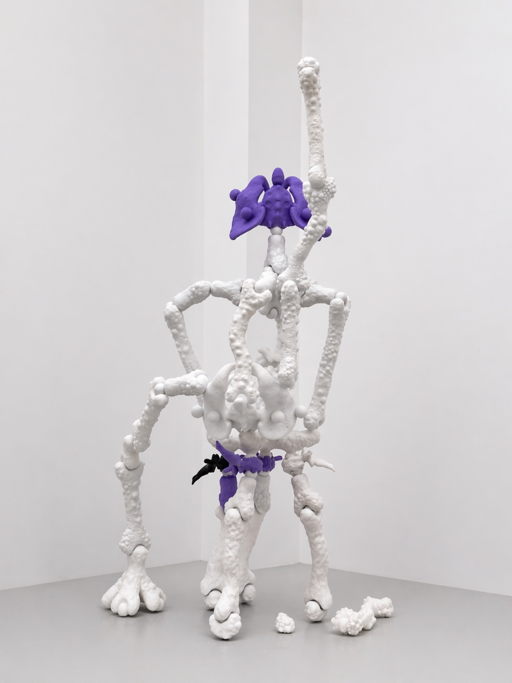 White and purple Rebone organizm’os skeleton in a gallery corner