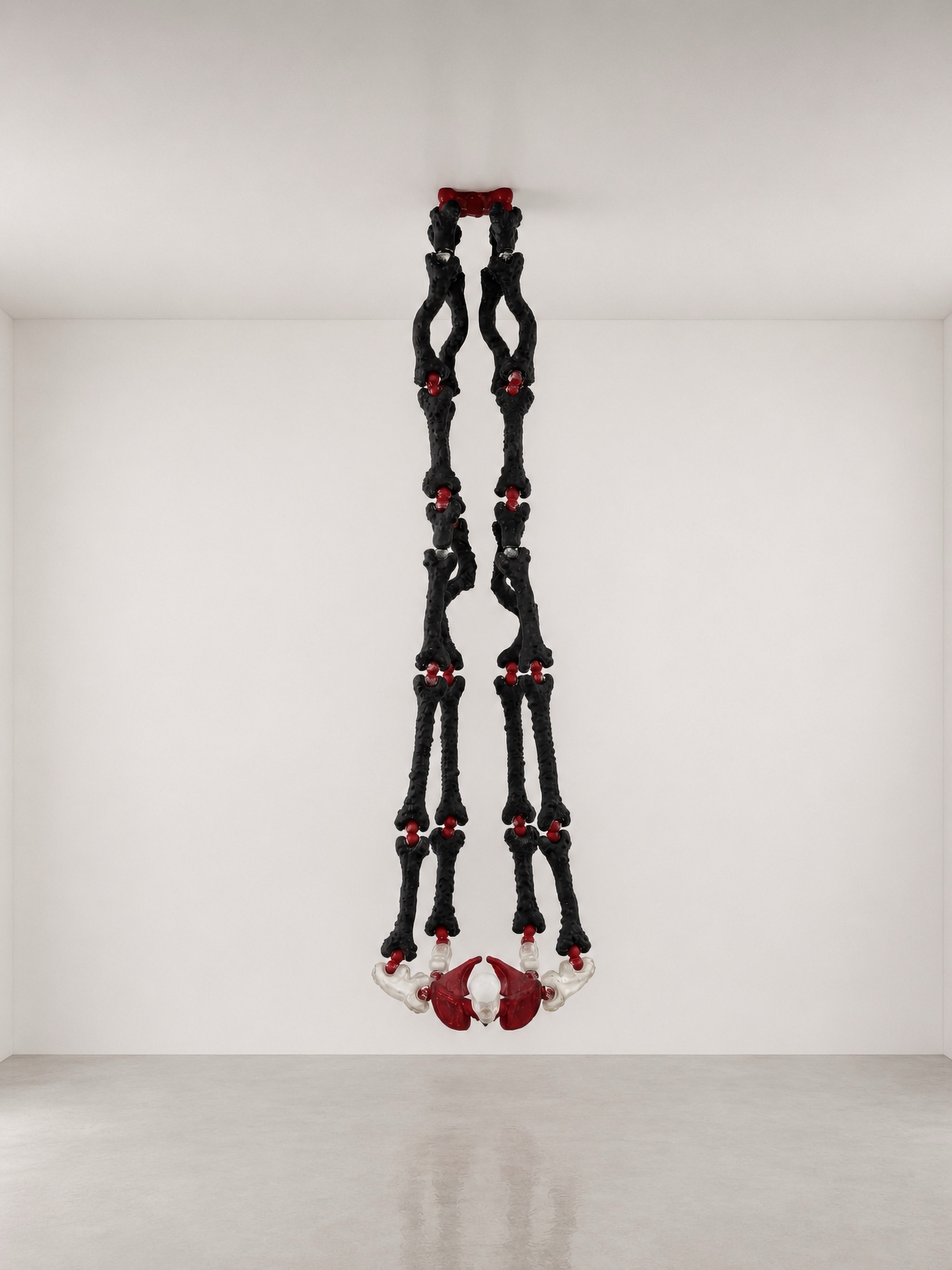 Black and red Rebone organizm'os skeleton hanging on a white wall