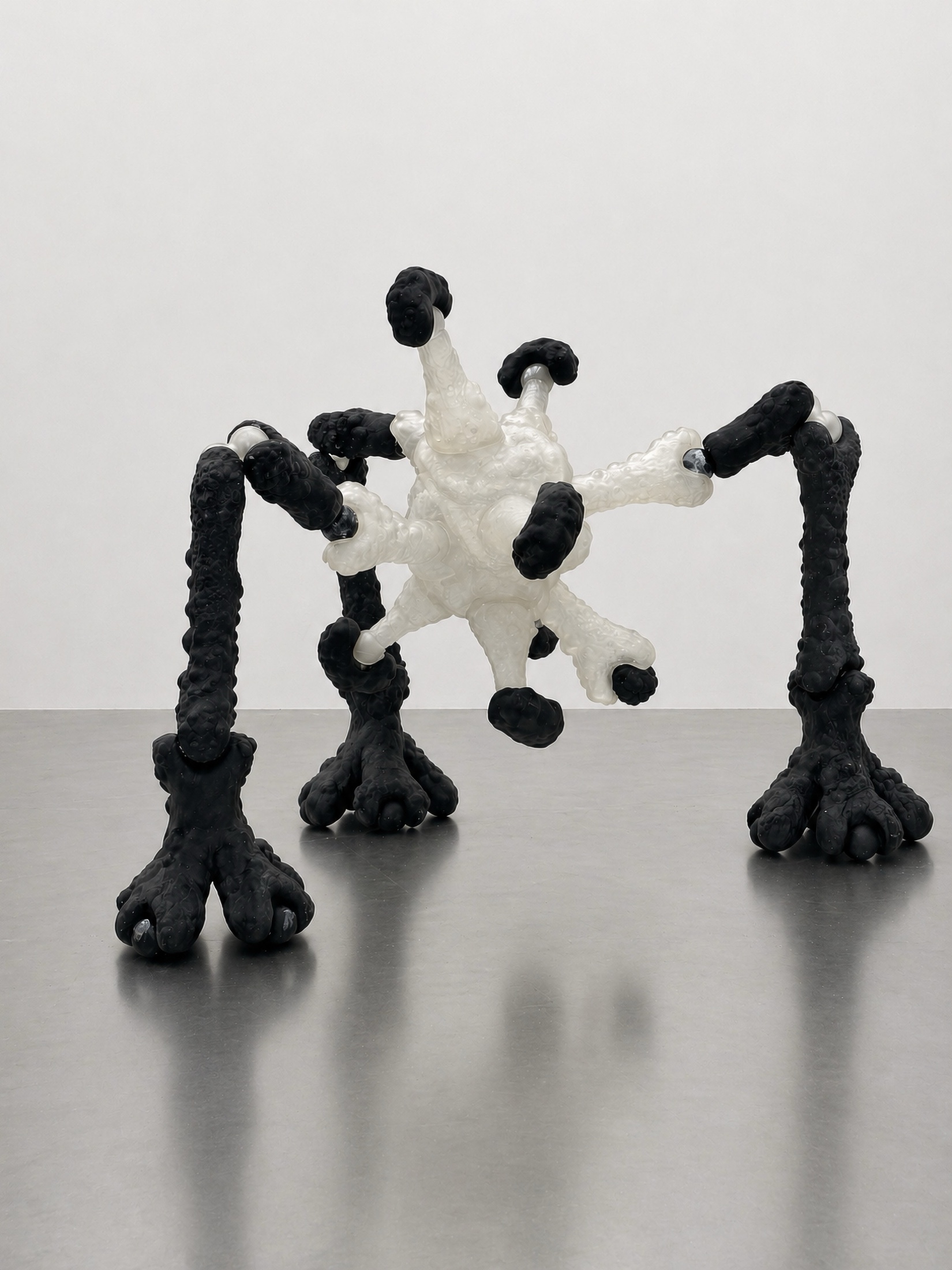 Black and translucent white Rebone organizm'os floor organism on a metal surface
