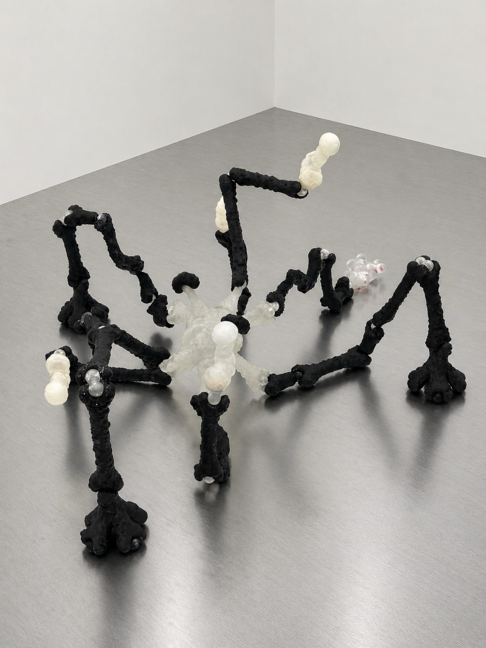 Black and translucent Rebone organizm’os structure spread across a metal surface