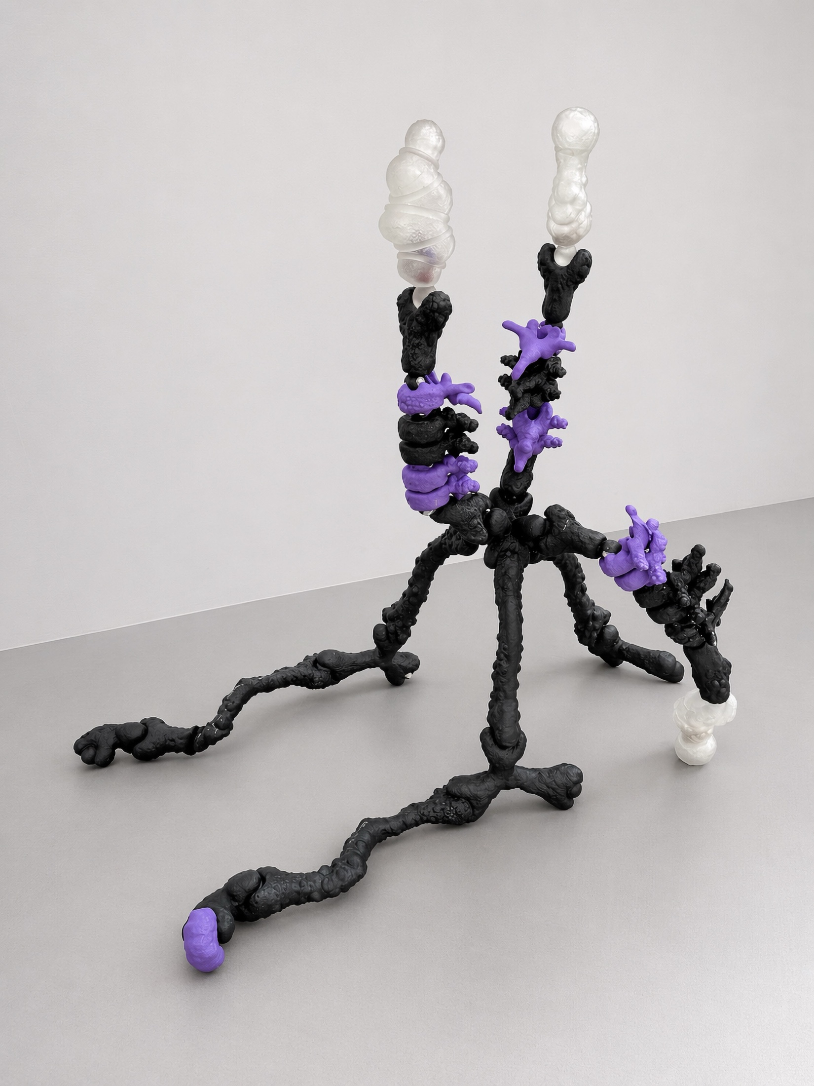 Black and purple Rebone organizm’os organism standing on a gallery floor