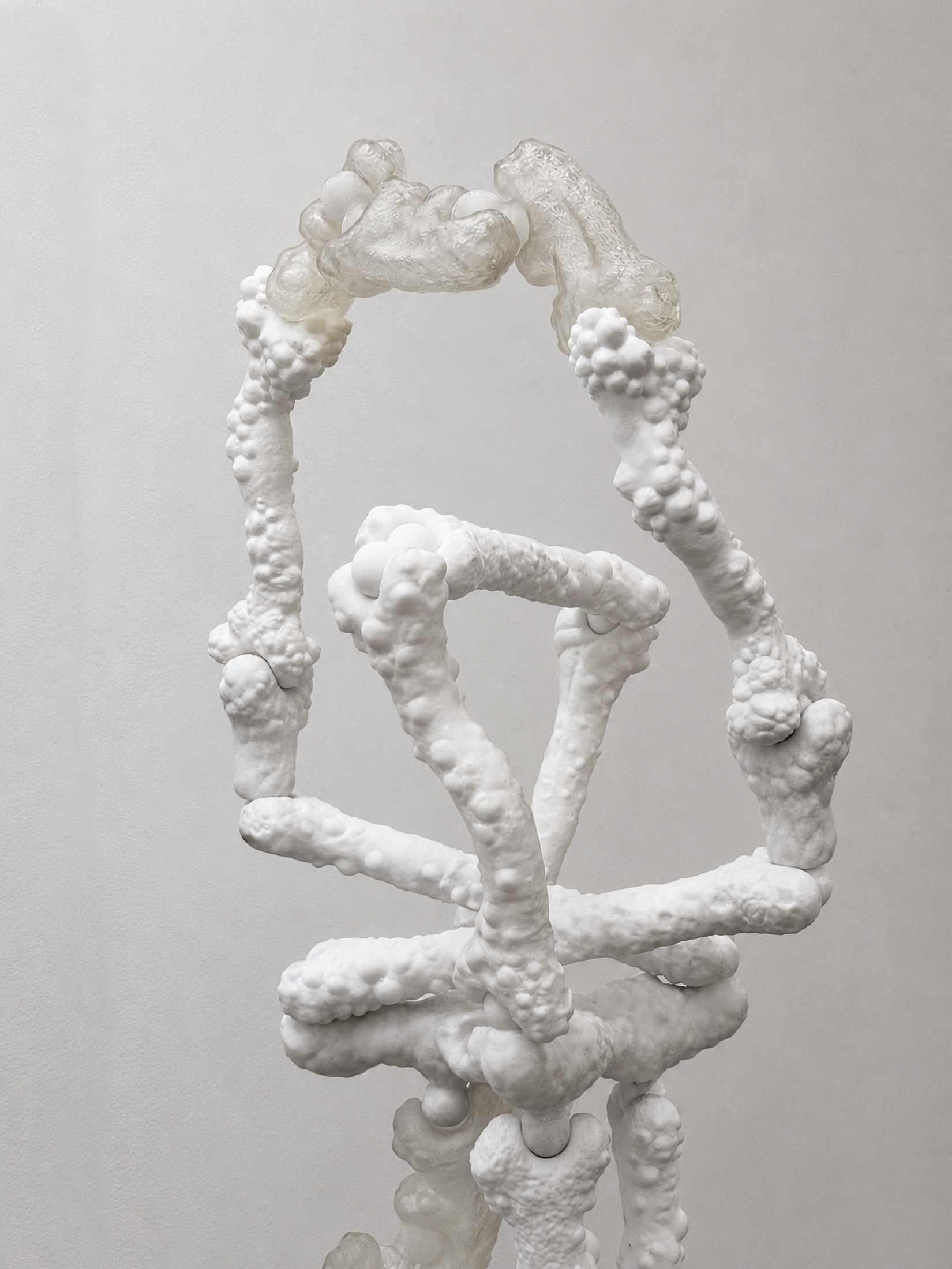 White Rebone organizm’os bone structure close-up