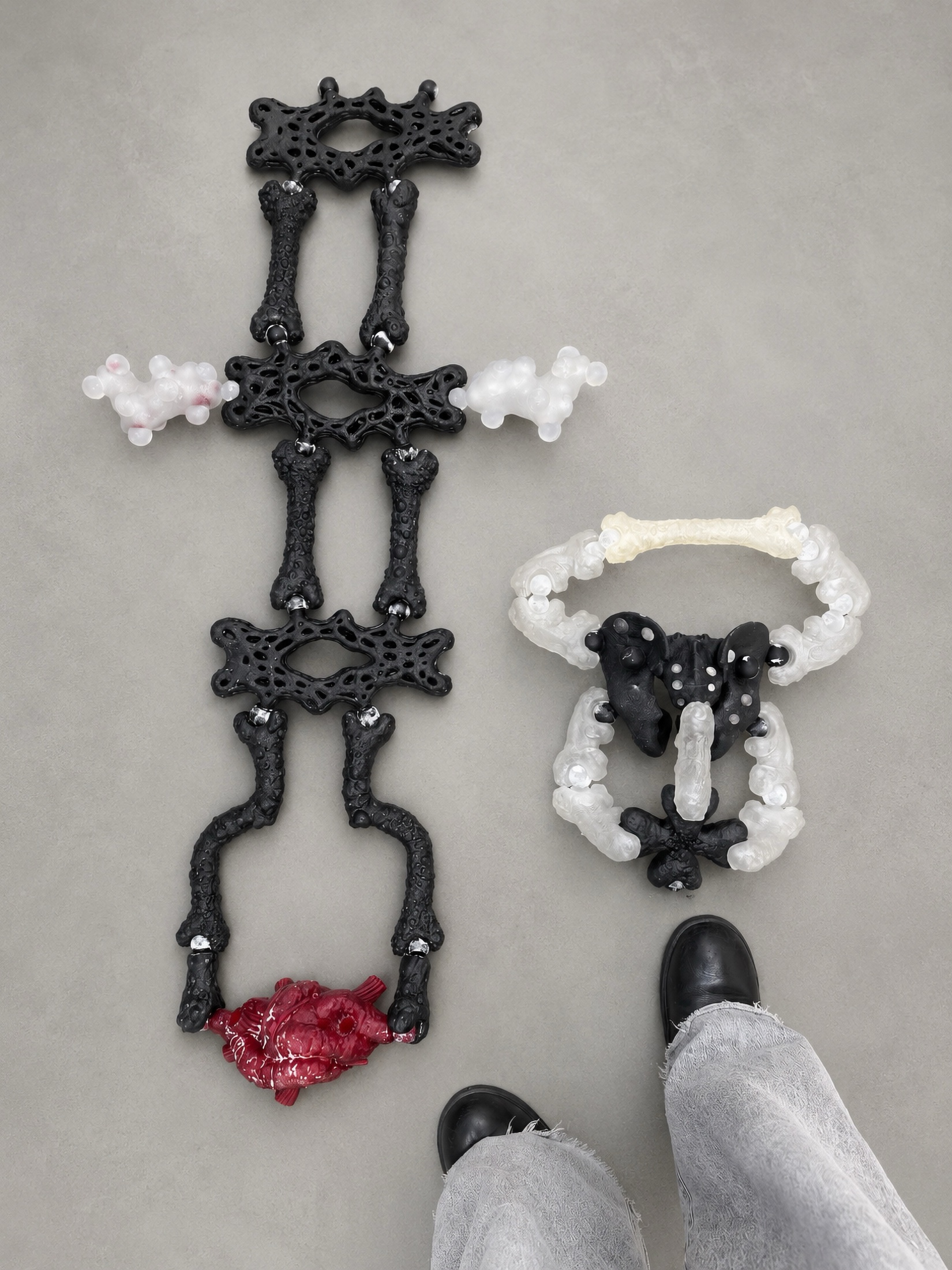 Black skeletal Rebone organizm’os elements and a compact pelvis-like structure on the floor