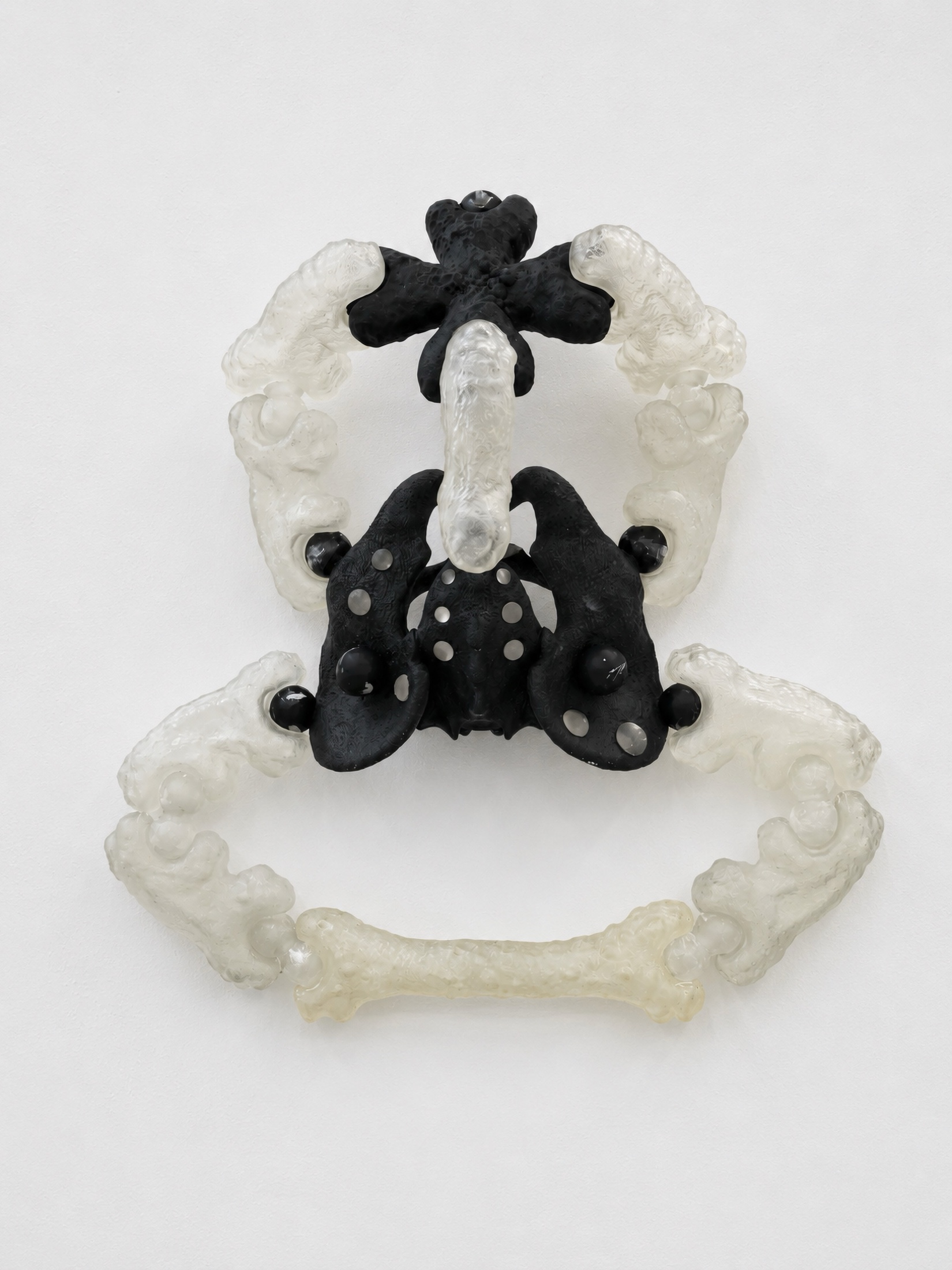 Translucent and black Rebone organizm’os object mounted on a wall