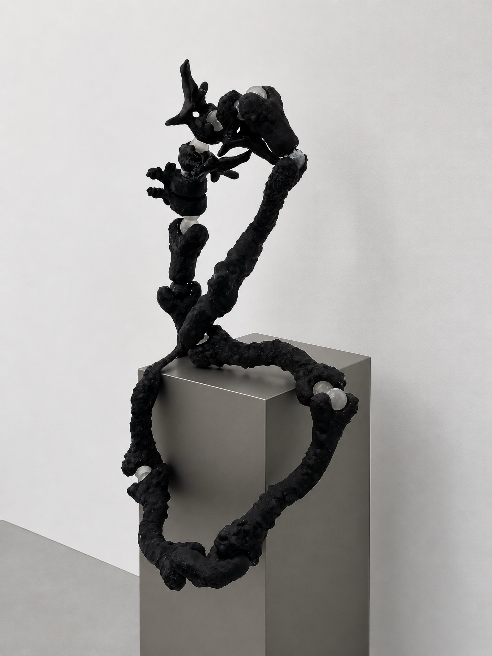 Black Rebone organizm’os structure rising from a metal plinth