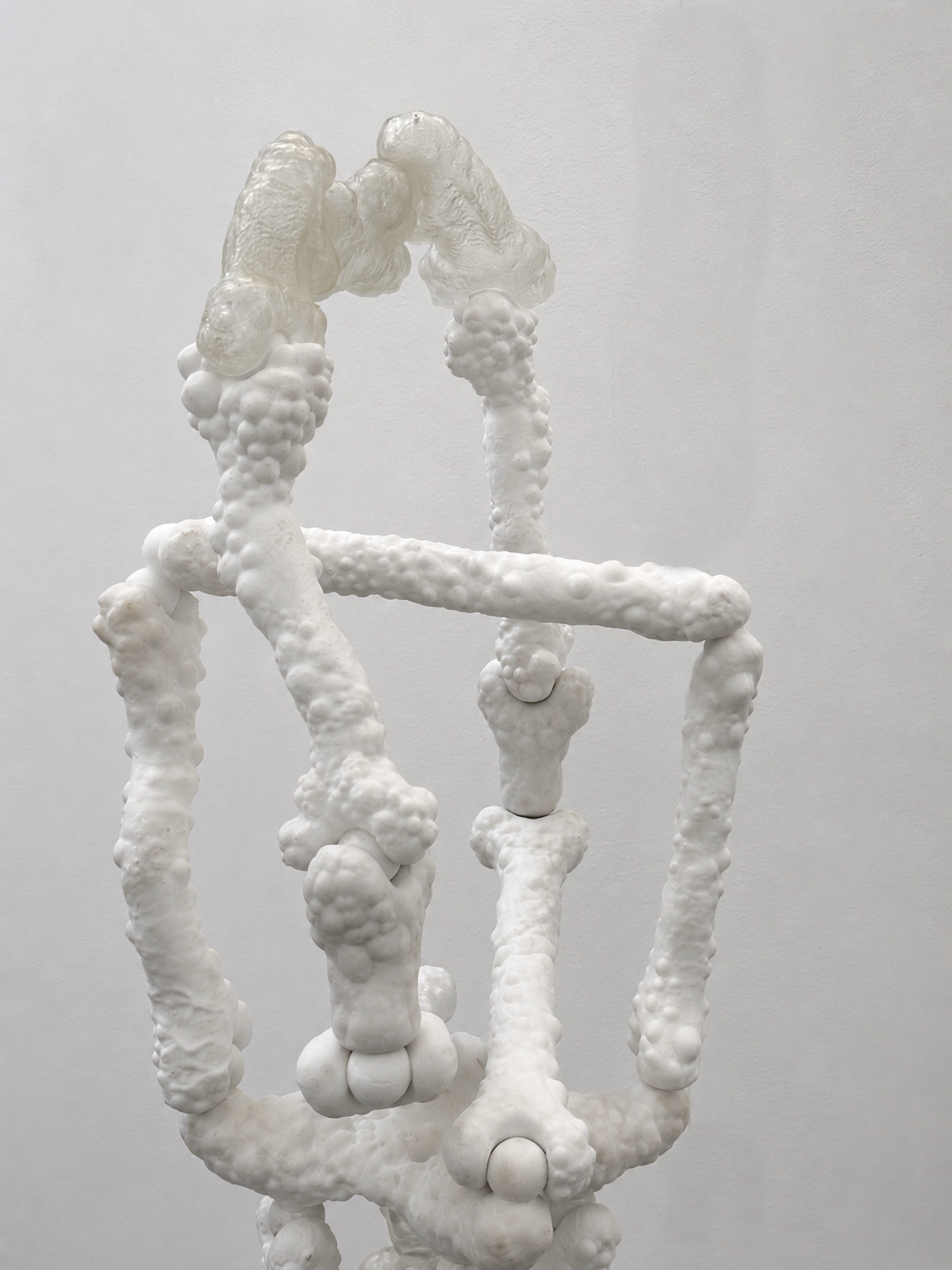 Close view of a white Rebone organizm’os skeletal structure