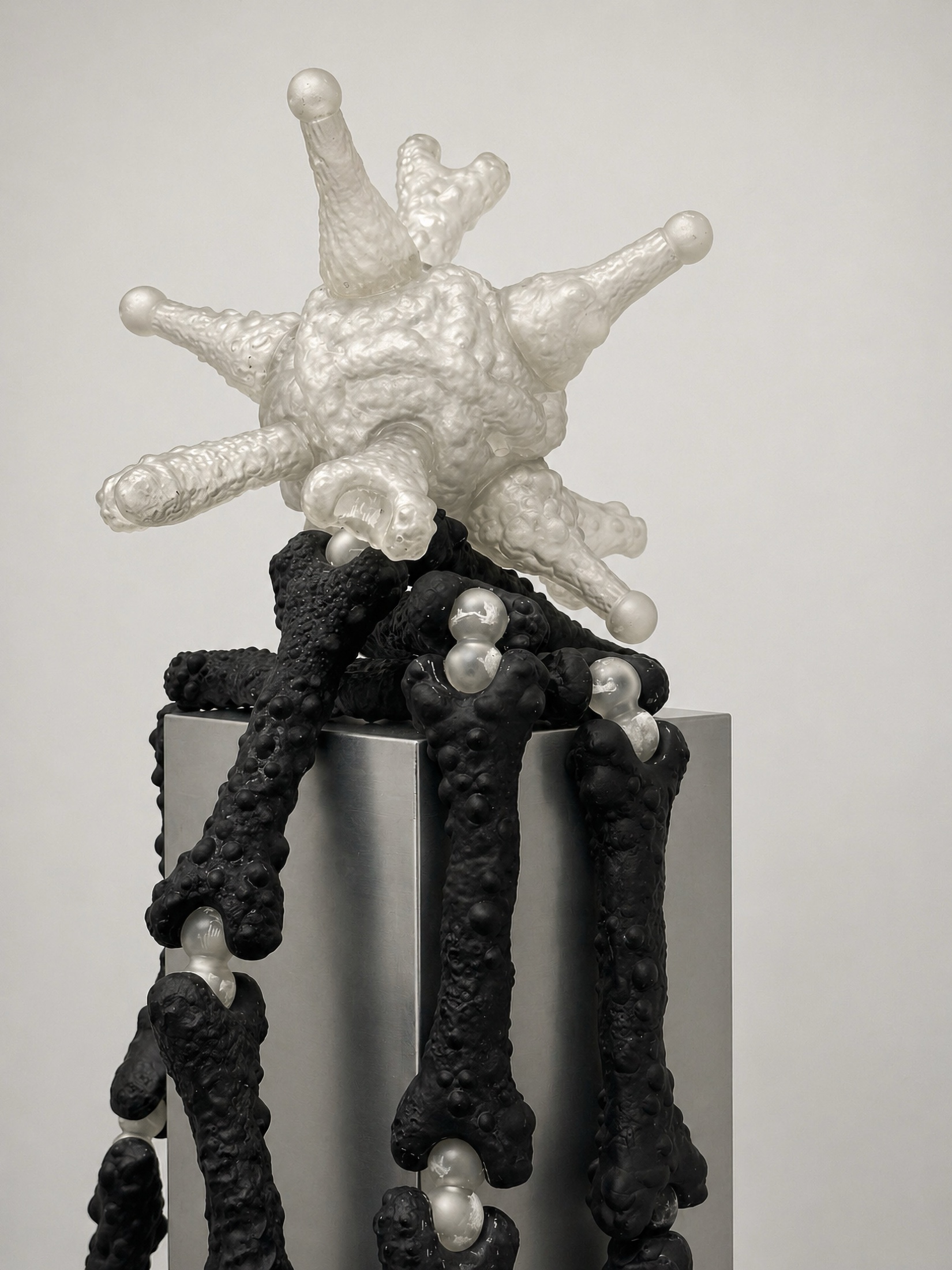 Close view of a black and translucent Rebone organizm’os structure on a metal plinth