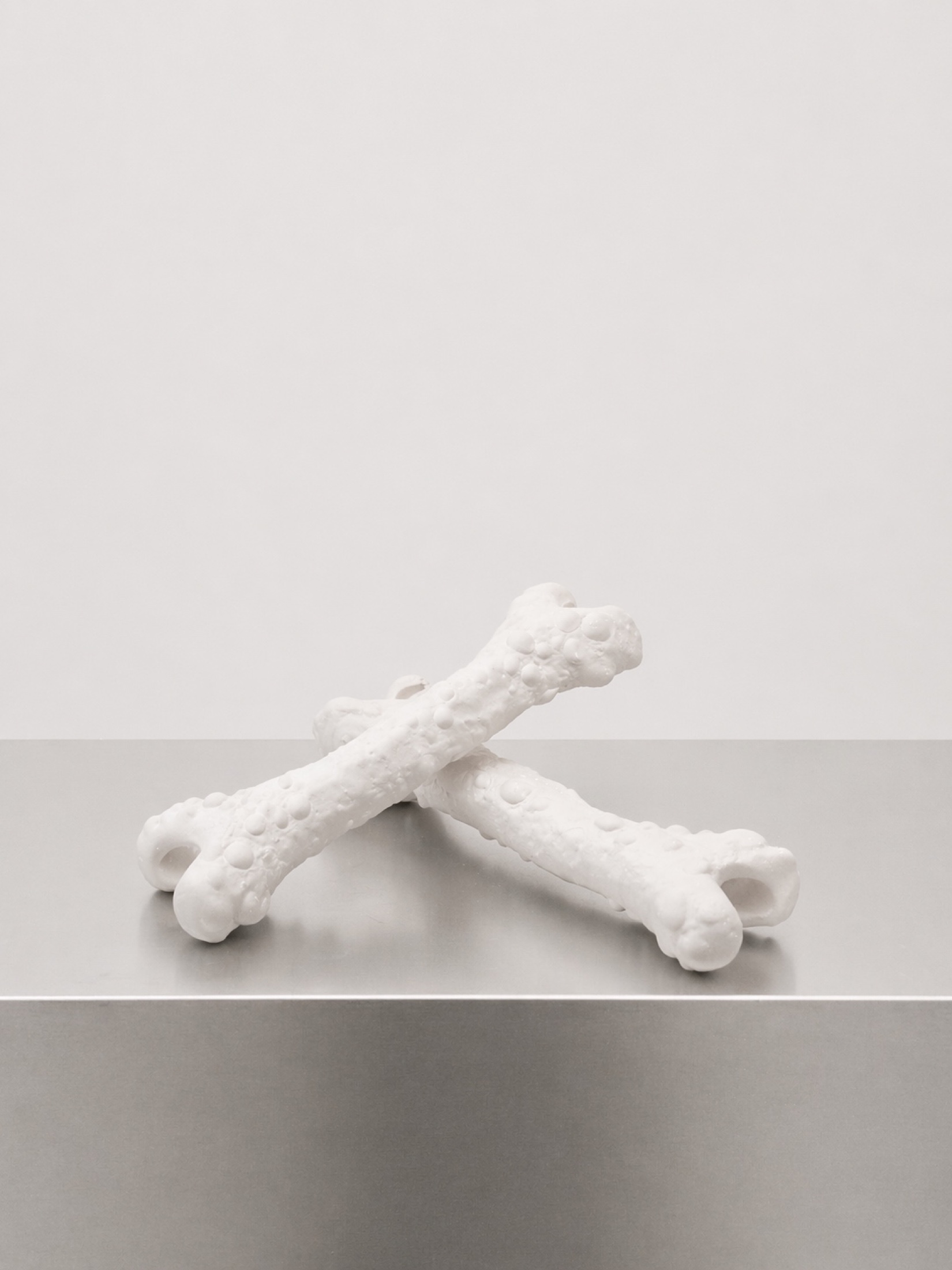 Crossed white Rebone organizm’os bone-like elements on a metal surface