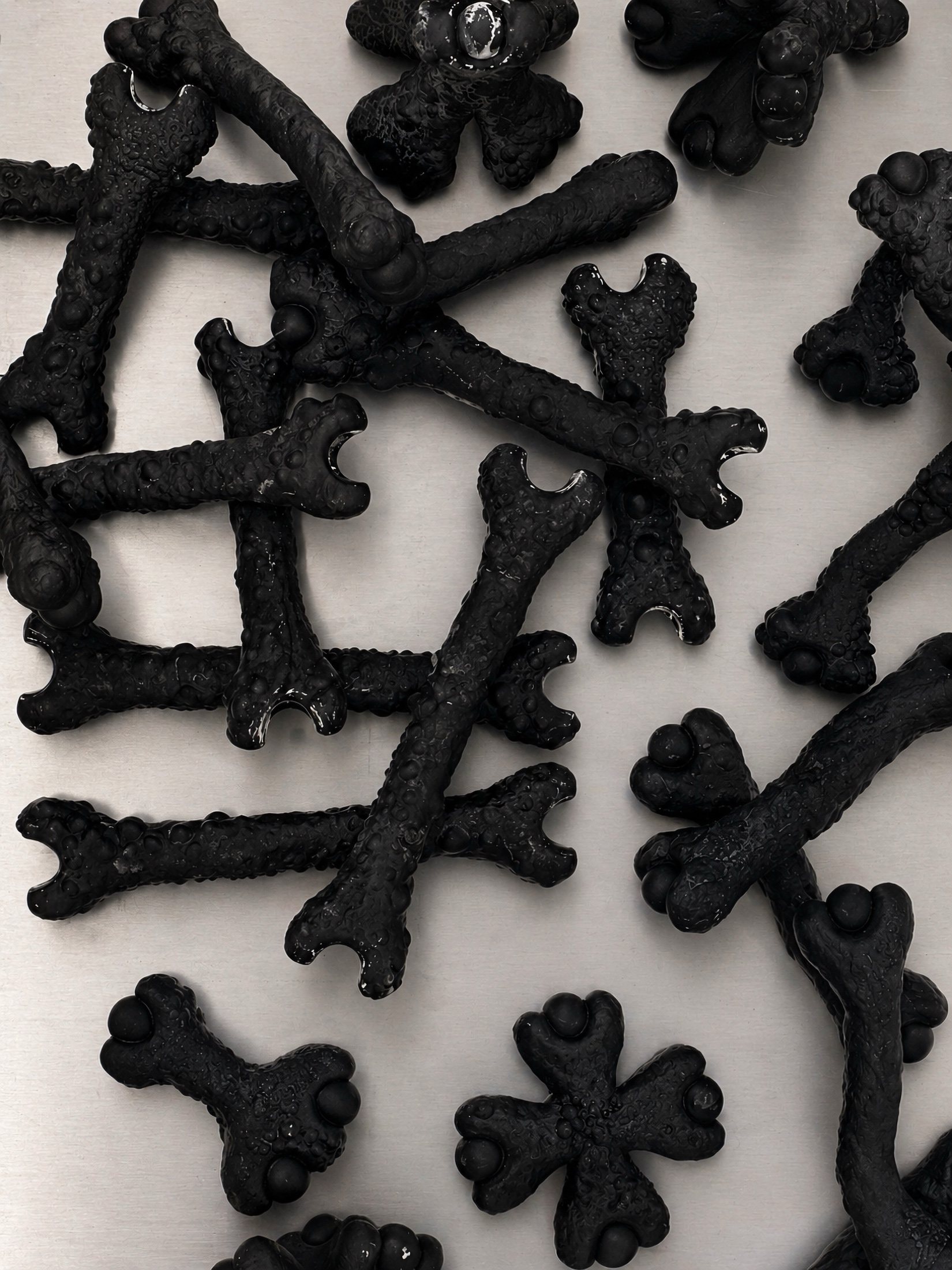 Black Rebone organizm'os components arranged on a metal surface