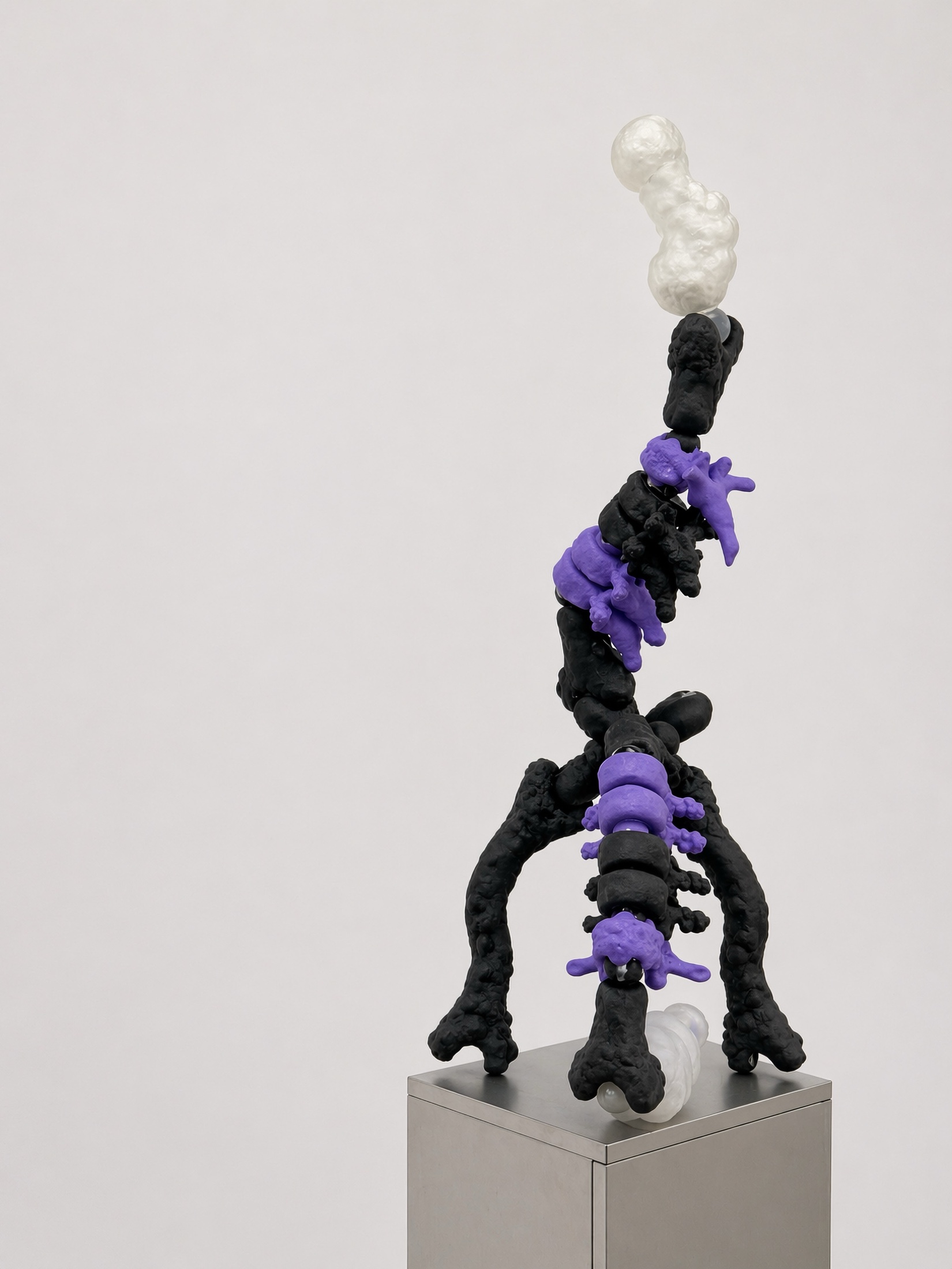 White Rebone organizm'os structure with black elements and a red organ element