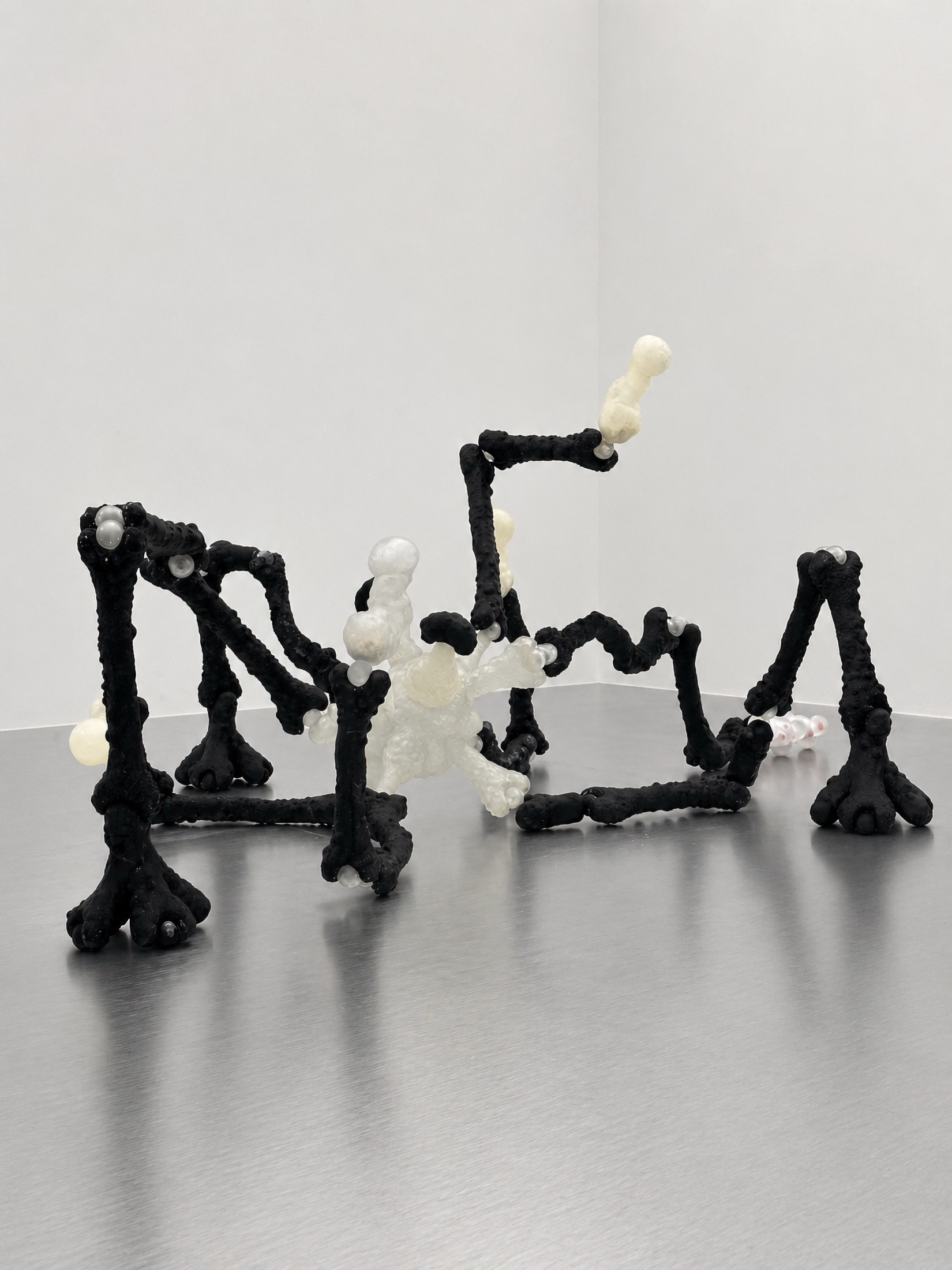 Black and white Rebone organizm'os floor assembly with a translucent center