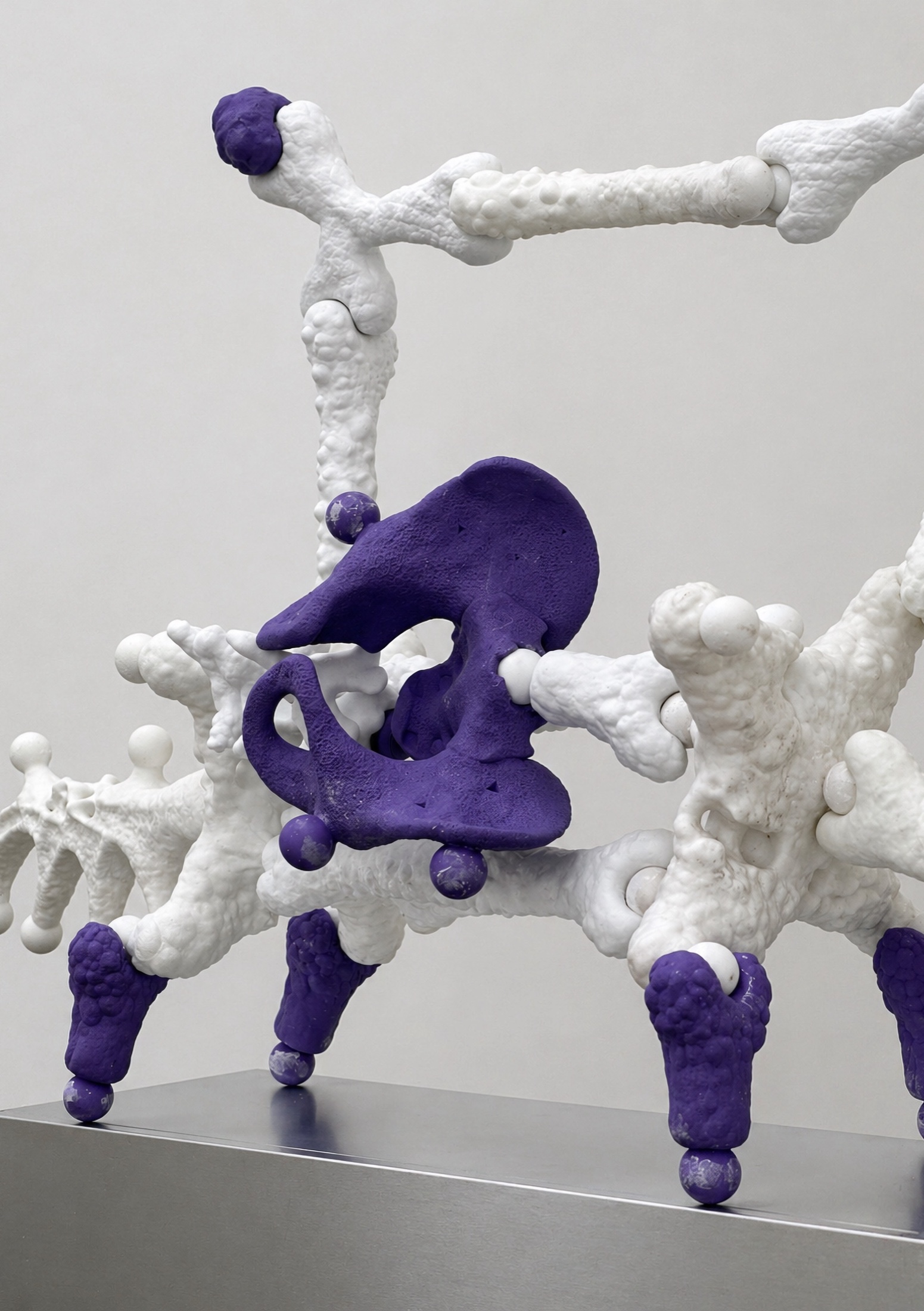 Close view of white Rebone organizm'os bones with a purple pelvis-like element