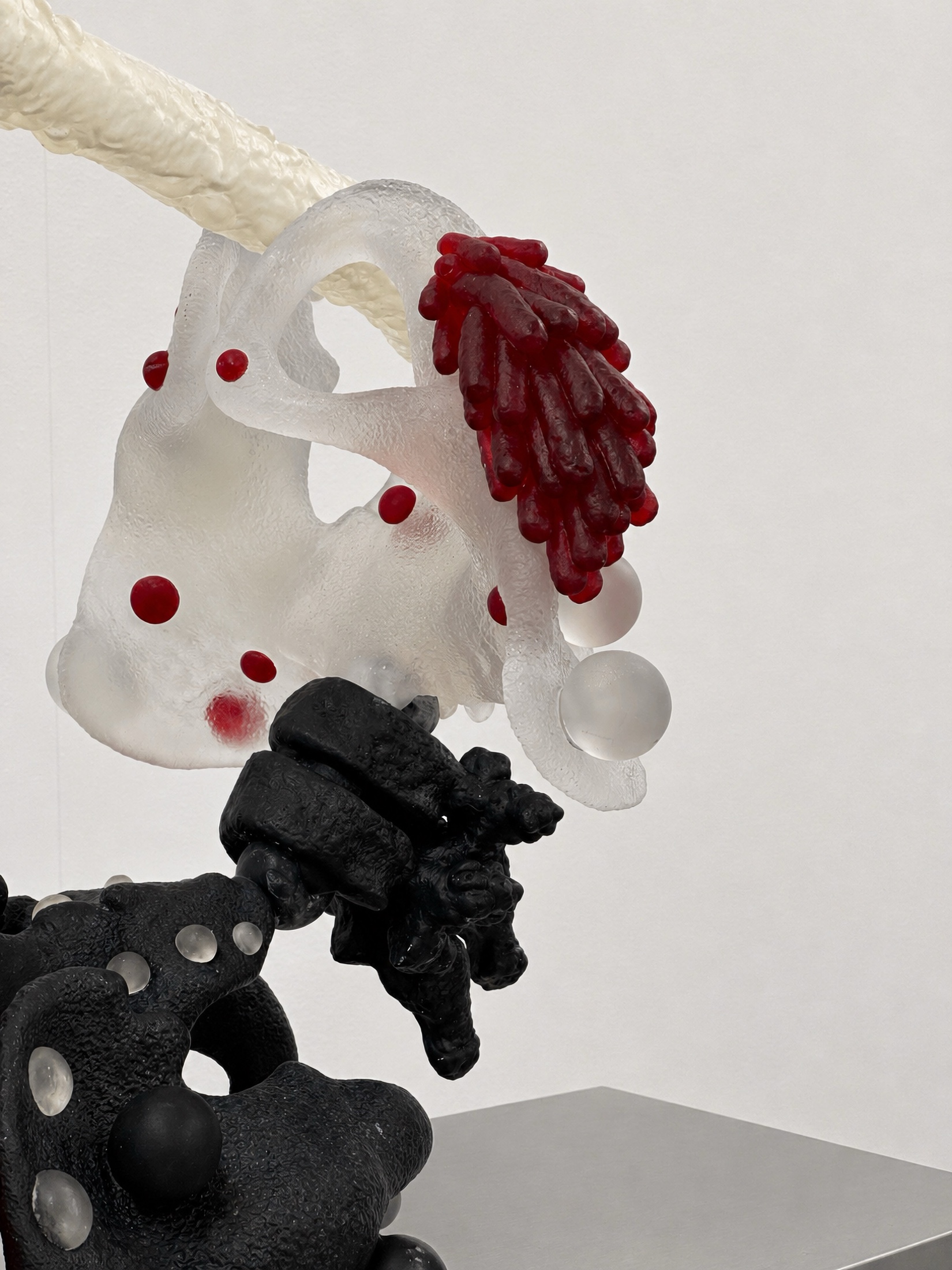 Close view of a translucent Rebone organizm'os organ with red elements and black bone-like parts