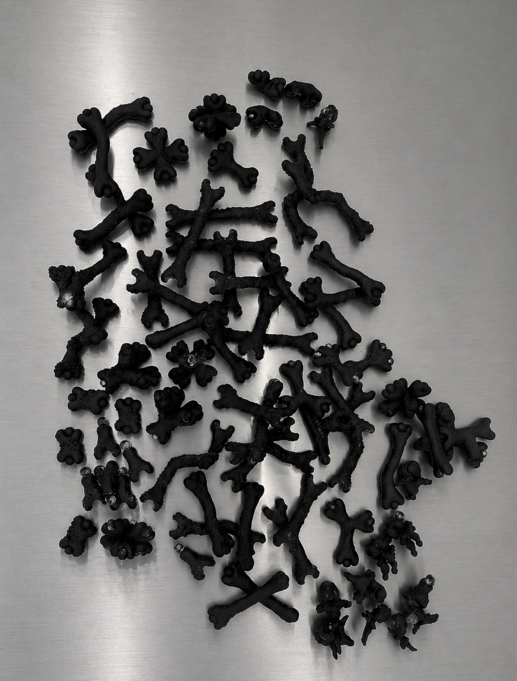 Black Rebone organizm'os components spread across a reflective metal floor