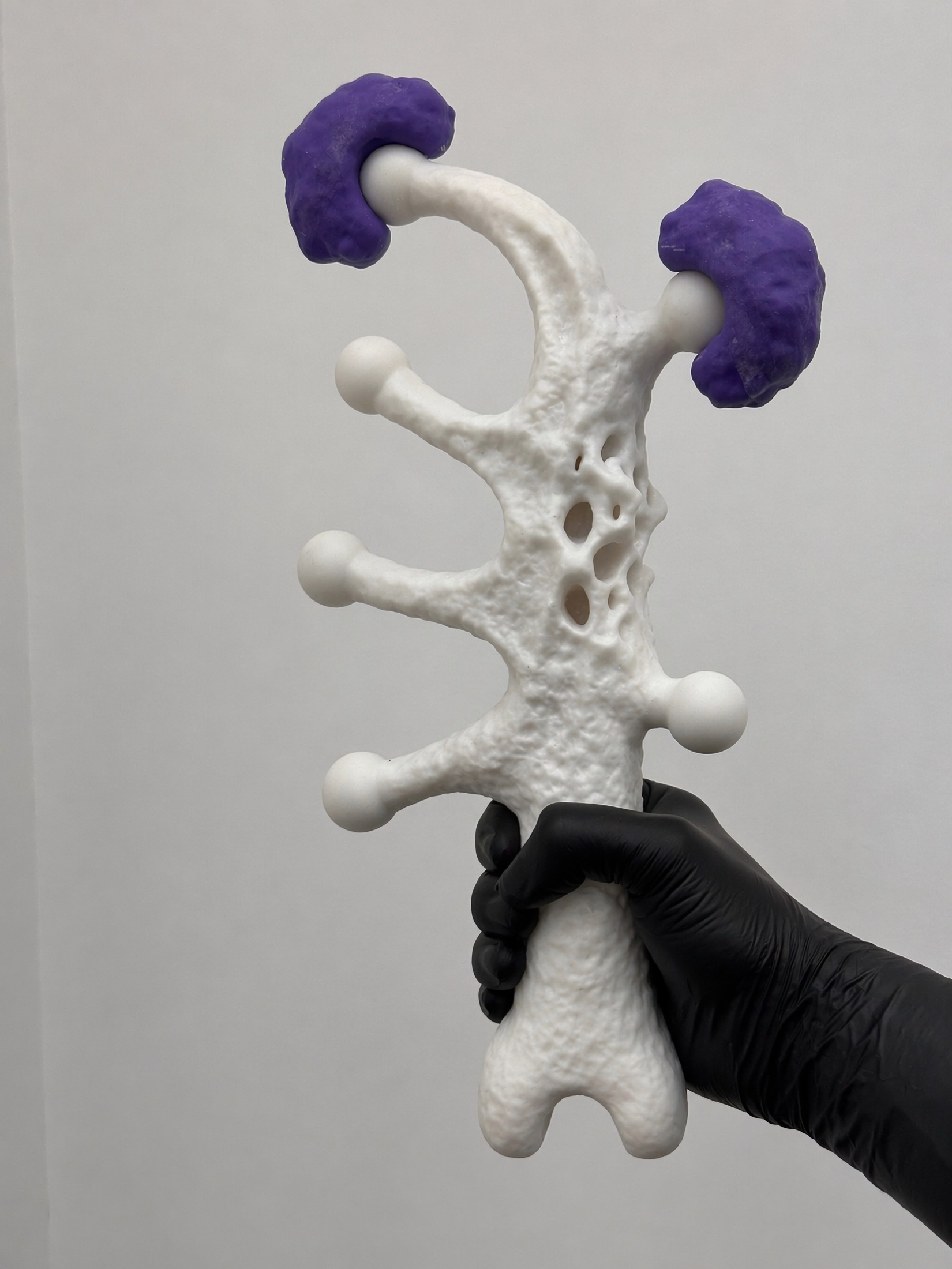 Hand holding a white Rebone organizm'os bone-like component with purple caps