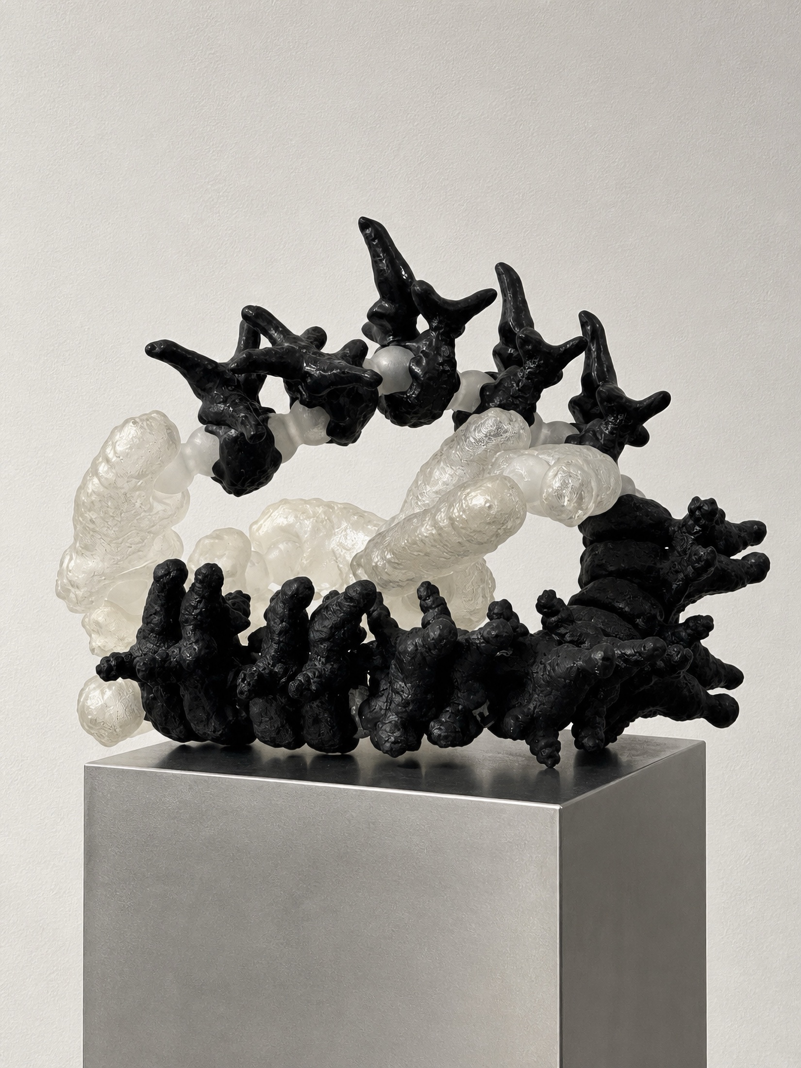 Black and translucent Rebone organizm'os organism arranged on a metal plinth